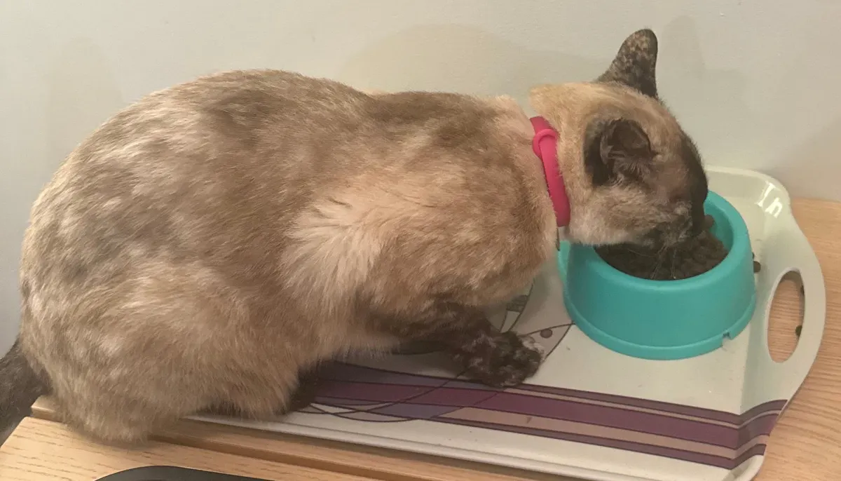 Charlotte eating from a turquoise bowl