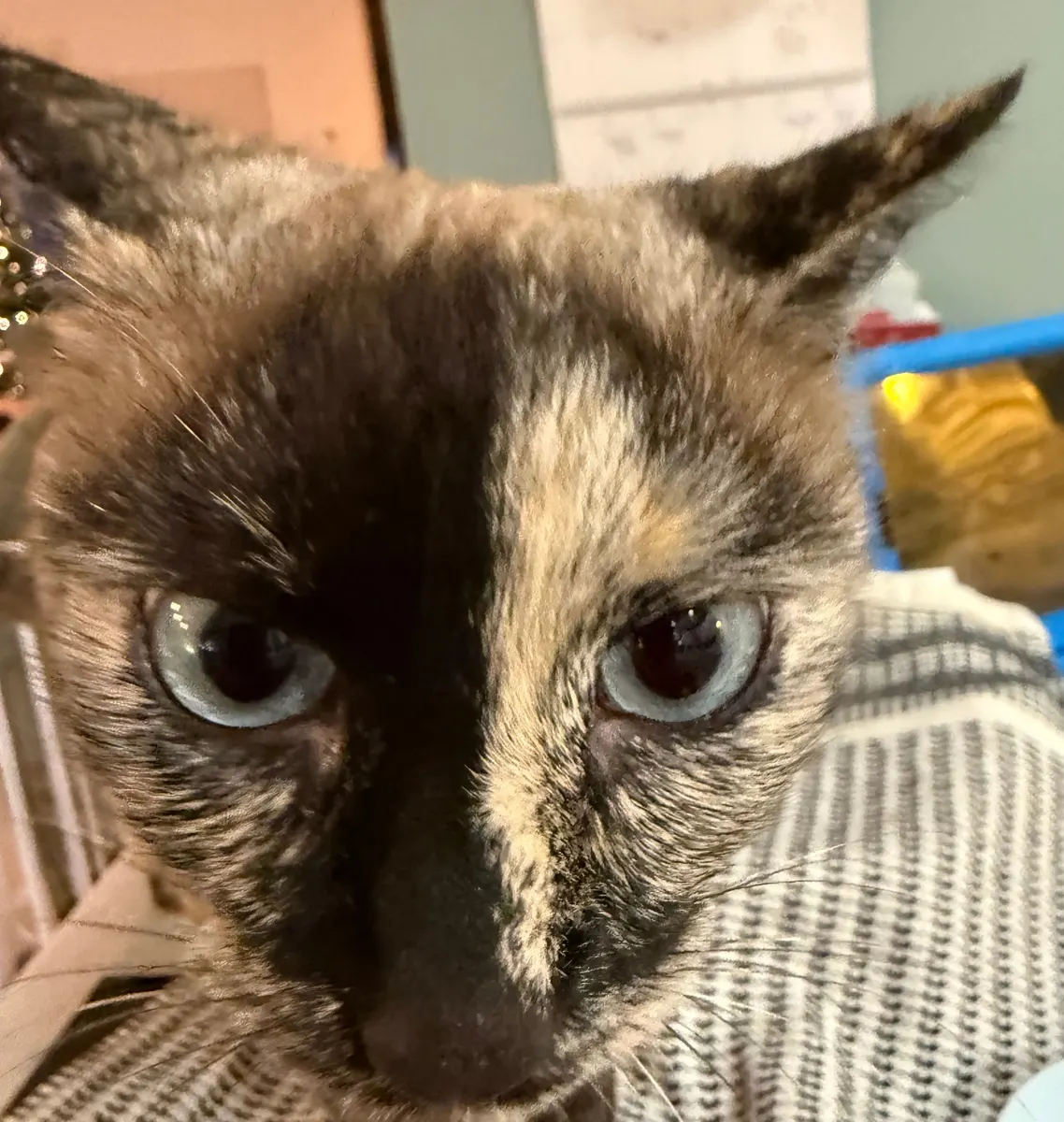Charlotte giving the camera a sideways look