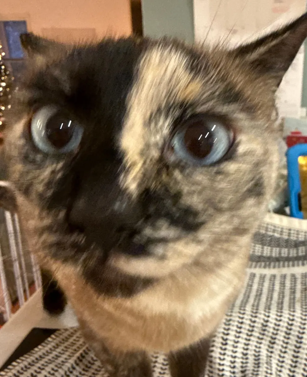 Charlotte staring wide-eyed at the camera